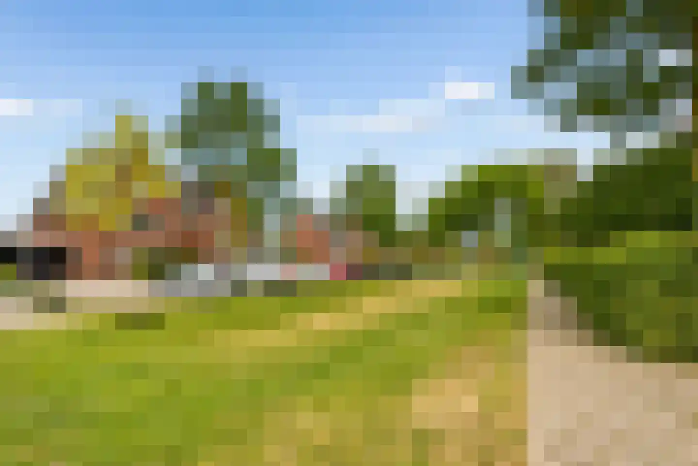 Fakkelgras 3 Houten thumbnail 50