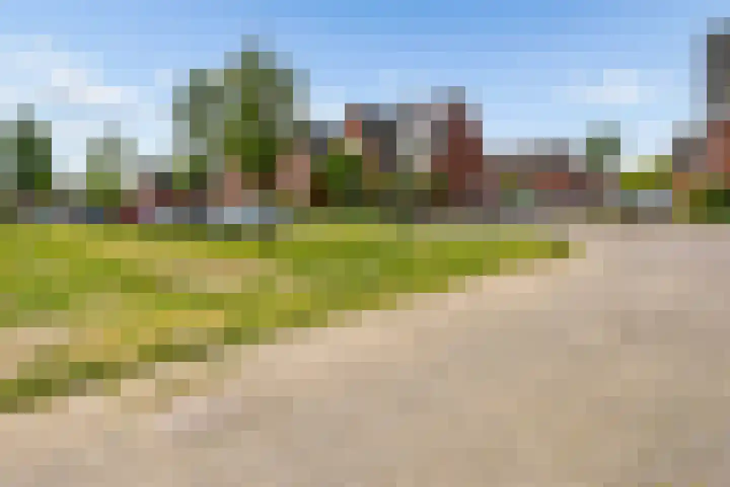 Fakkelgras 3 Houten thumbnail 51