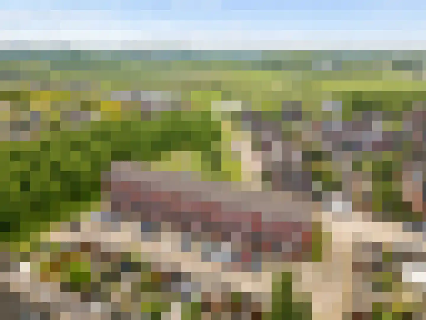 Fakkelgras 3 Houten thumbnail 53