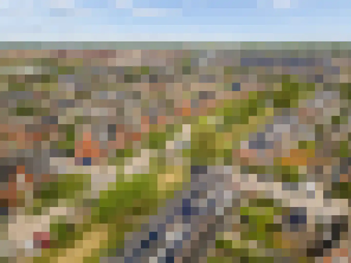 Fakkelgras 3 Houten thumbnail 54
