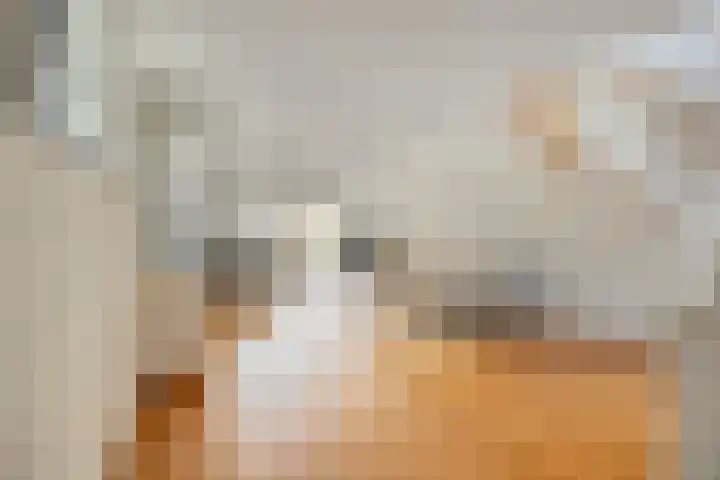 Fakkelgras 36 Leiden thumbnail 10