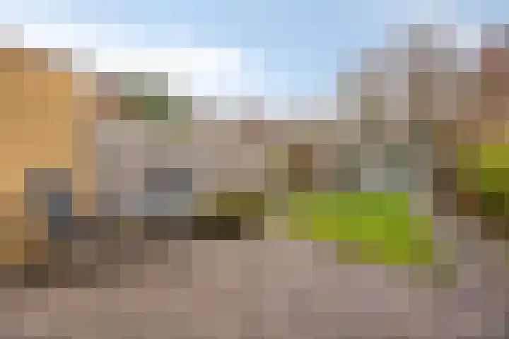 Fakkelgras 36 Leiden thumbnail 13