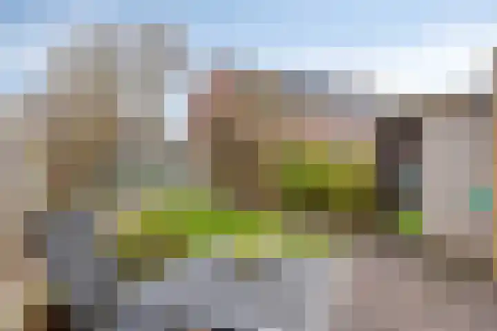 Fakkelgras 36 Leiden thumbnail 14