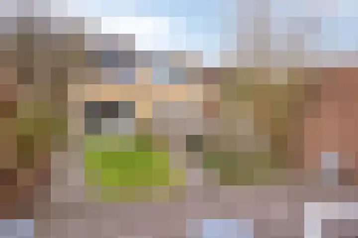 Fakkelgras 36 Leiden thumbnail 15