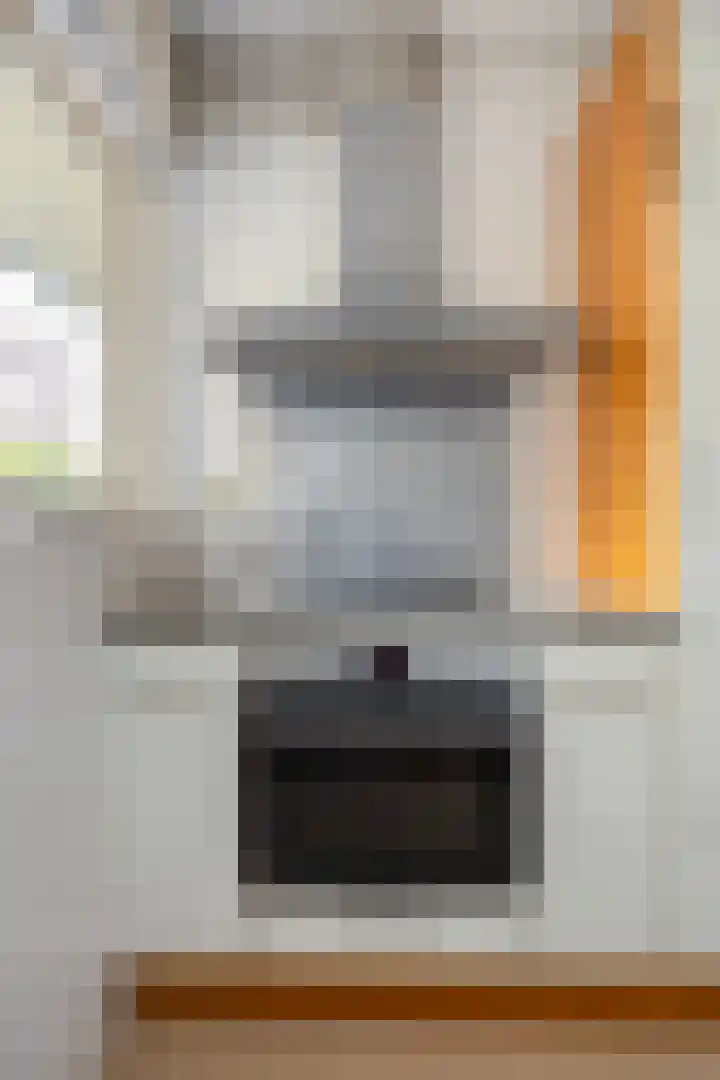 Fakkelgras 36 Leiden thumbnail 17