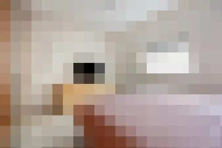 Fakkelgras 36 Leiden thumbnail 22