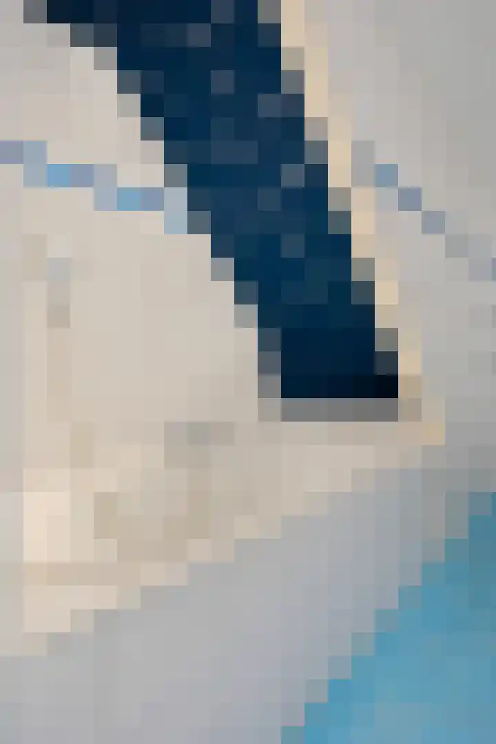 Fakkelgras 36 Leiden thumbnail 24