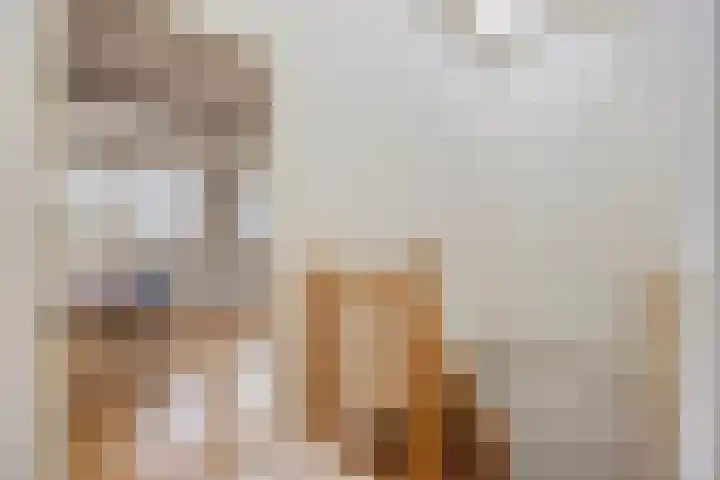 Fakkelgras 36 Leiden thumbnail 29