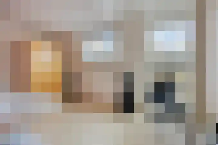 Fakkelgras 36 Leiden thumbnail 31