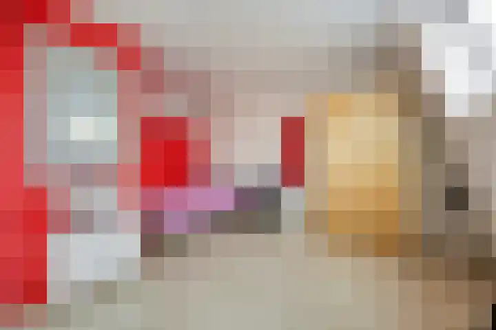 Fakkelgras 36 Leiden thumbnail 32