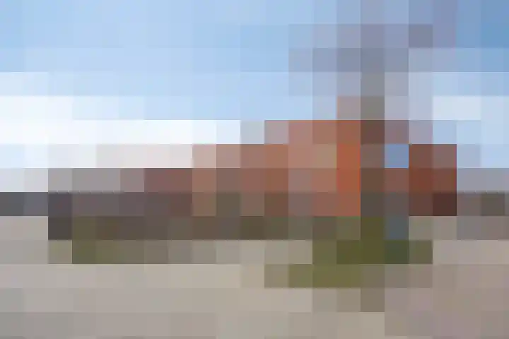 Fakkelgras 36 Leiden thumbnail 33