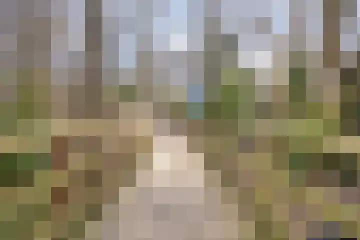 Fakkelgras 36 Leiden thumbnail 35