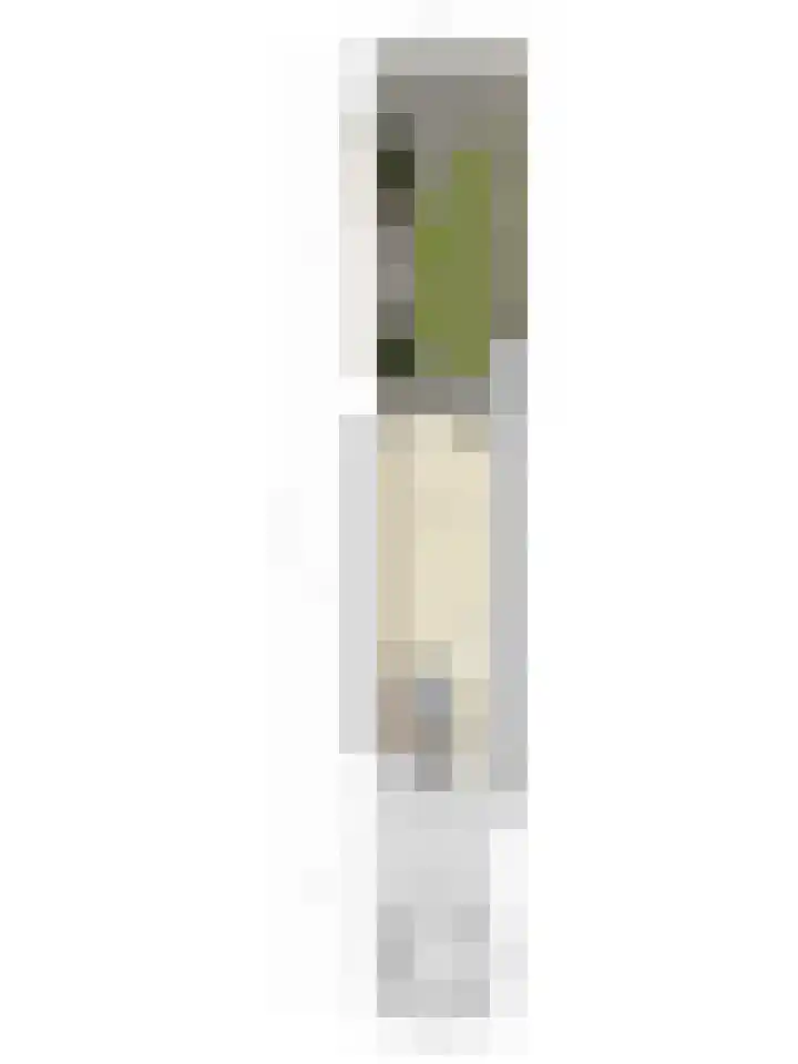 Fakkelgras 36 Leiden thumbnail 36