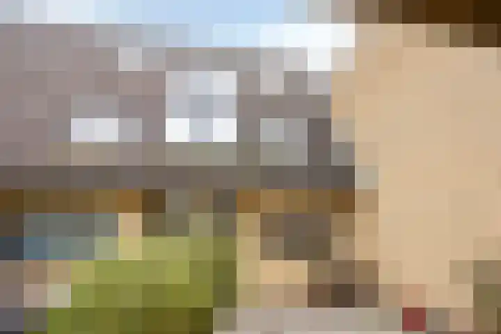 Fakkelgras 36 Leiden thumbnail 6