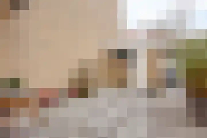 Fakkelgras 36 Leiden thumbnail 7