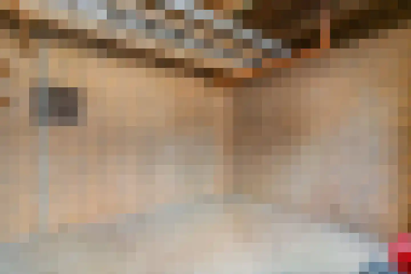 Fakkelgras 6 Leiden thumbnail 31
