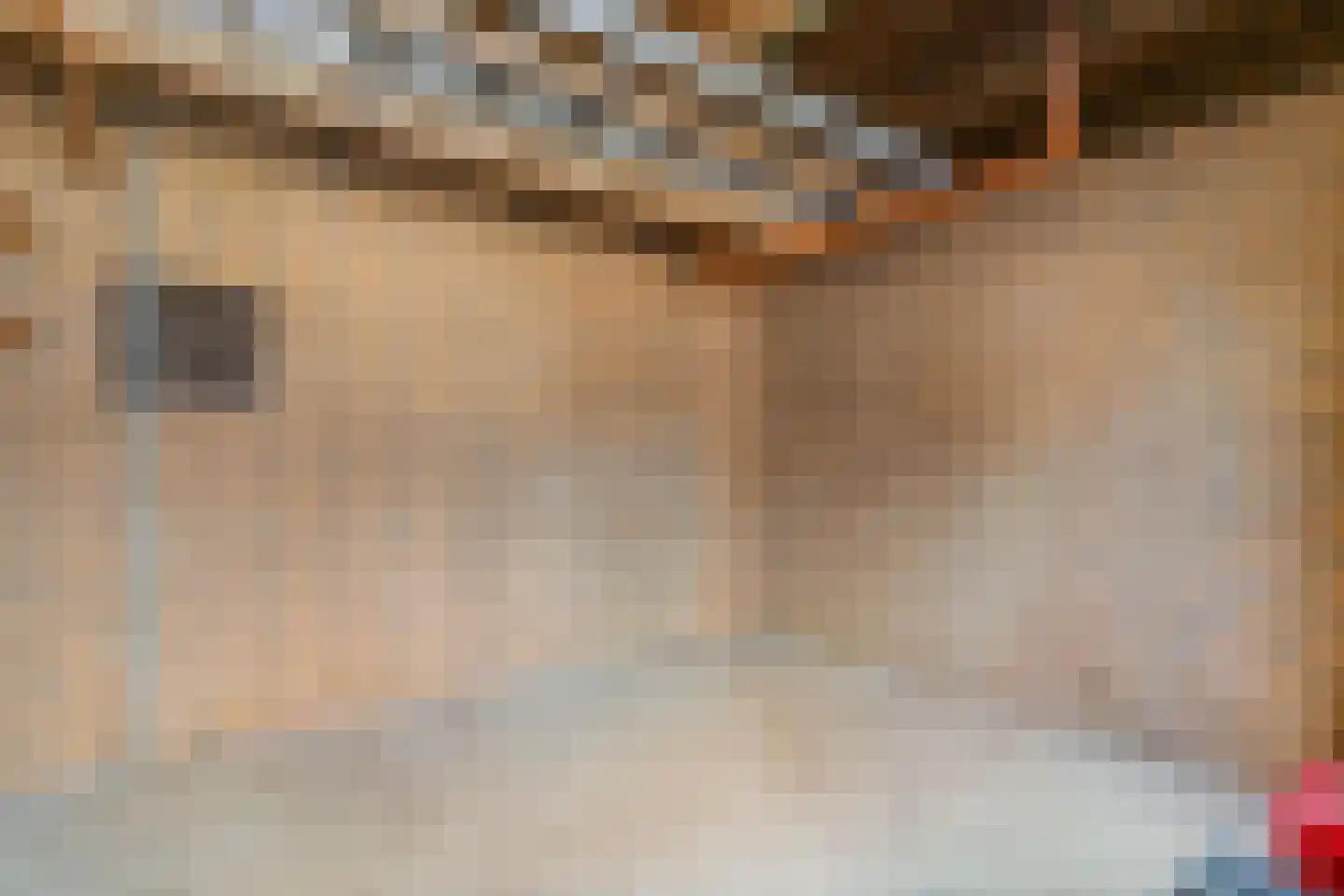 Fakkelgras 6 Leiden thumbnail 32