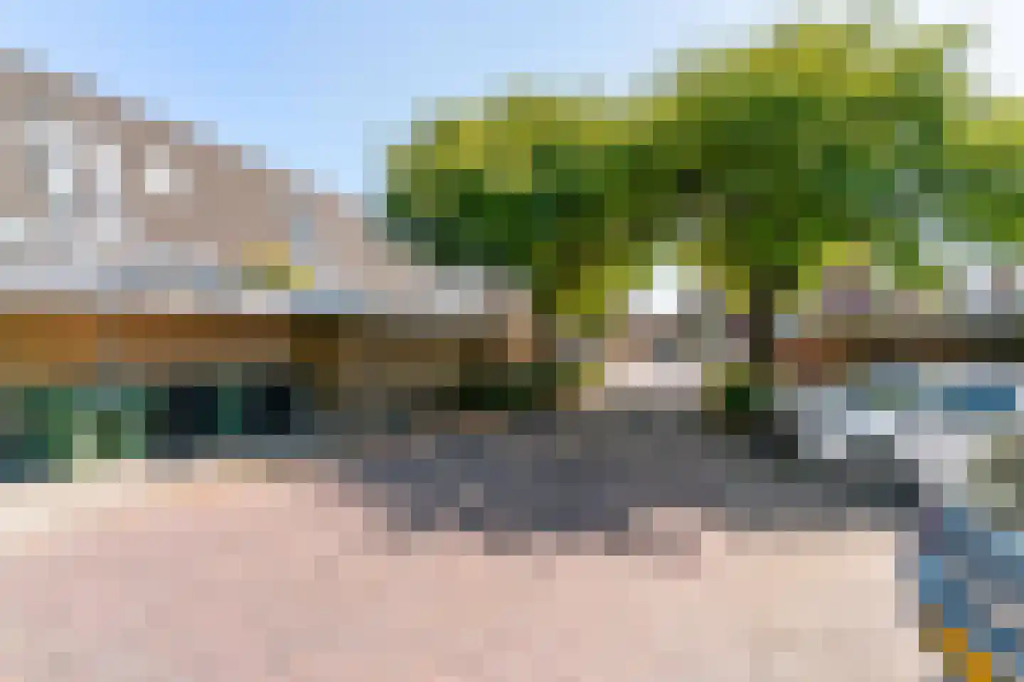 Fakkelgras 6 Leiden thumbnail 33