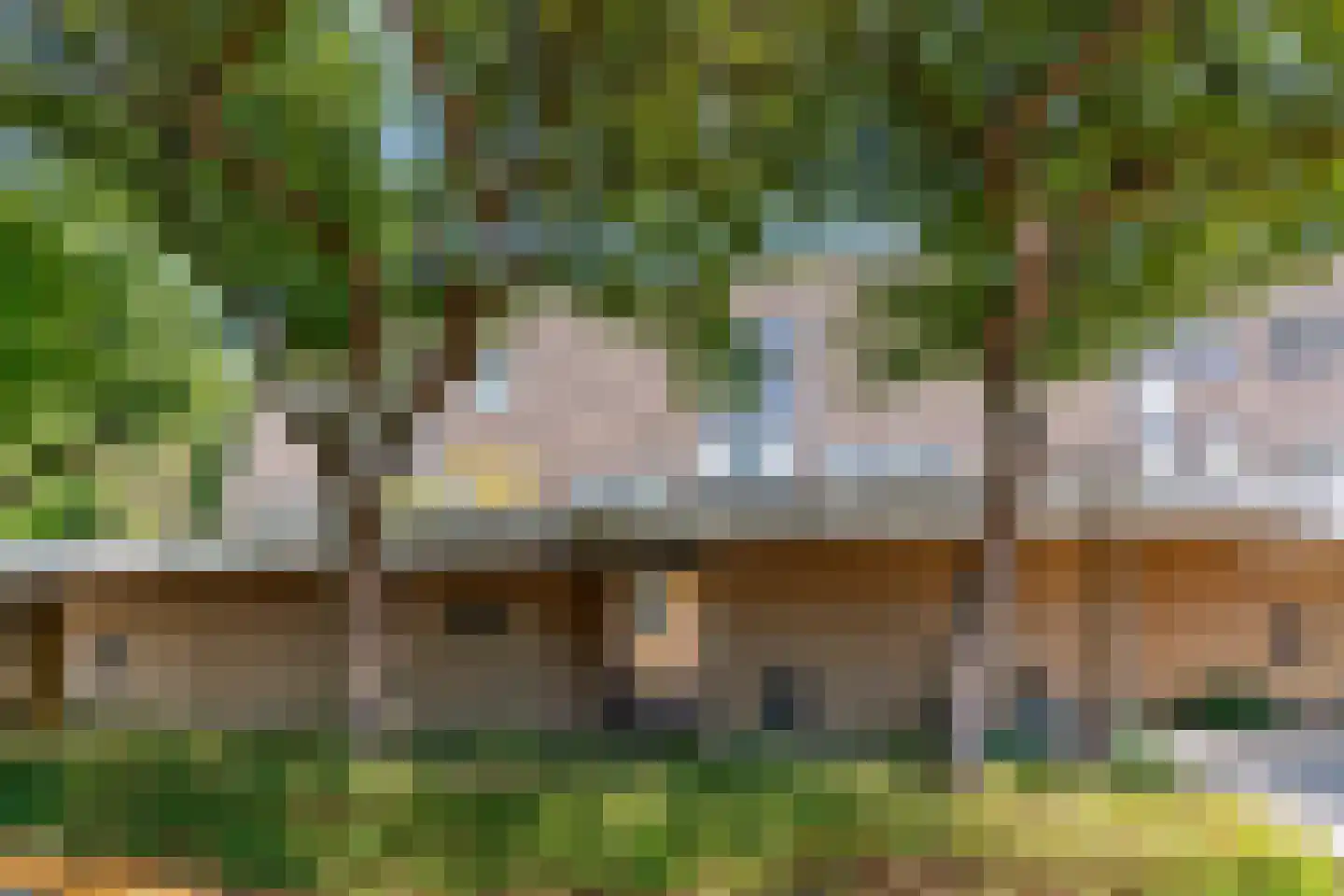 Fakkelgras 6 Leiden thumbnail 4