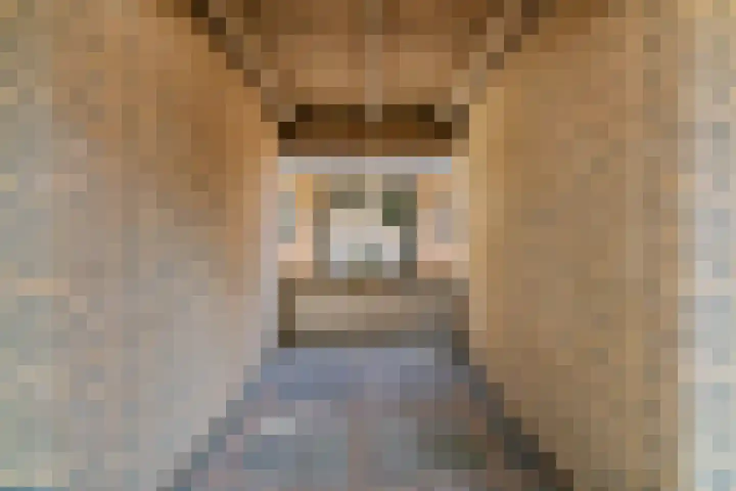 Fakkelgras 6 Leiden thumbnail 5