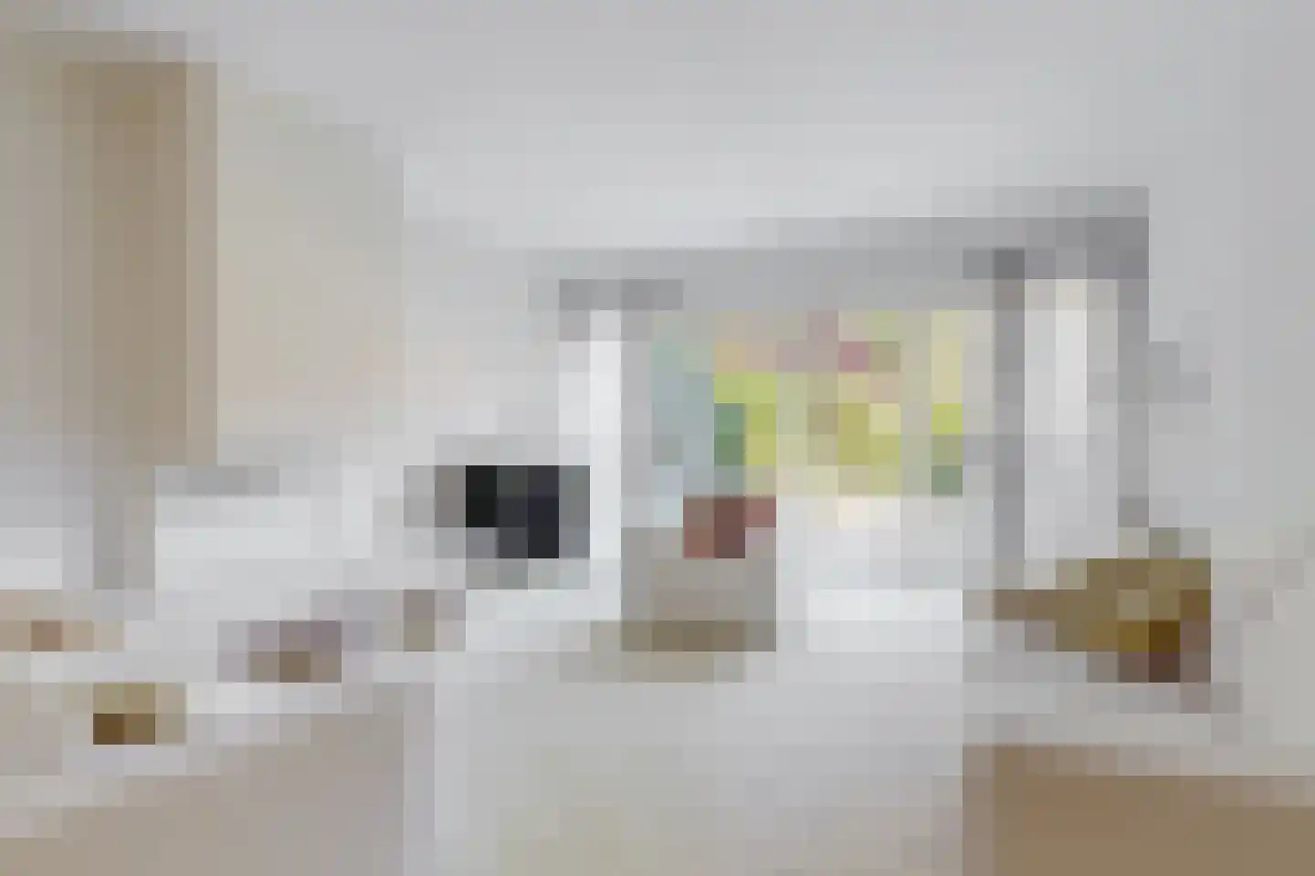 Fakkelgras 6 Leiden thumbnail 9