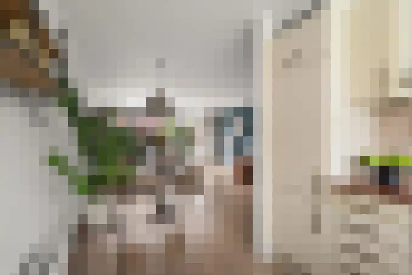 Fakkelgras 9 Houten thumbnail 14