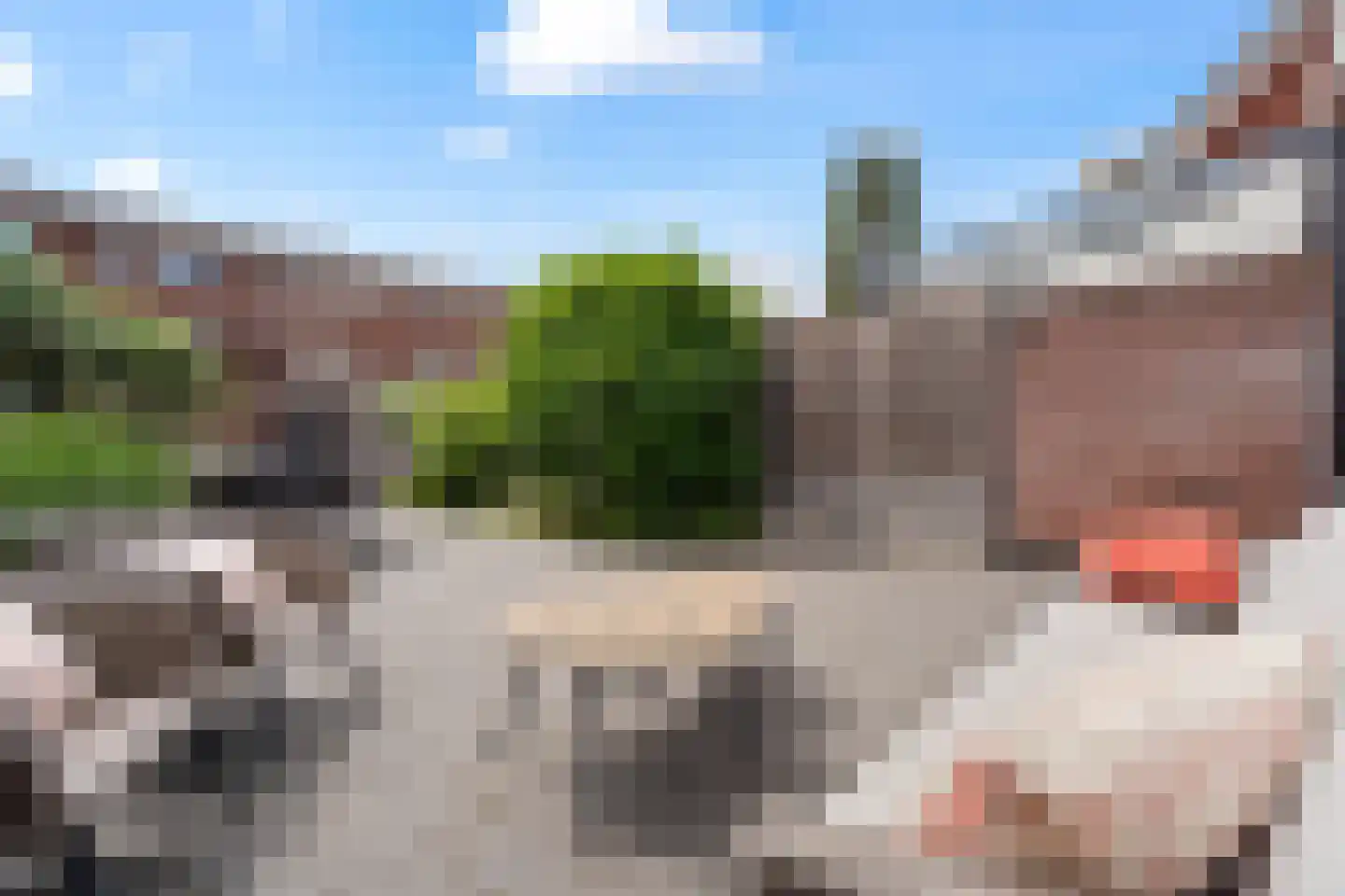 Fakkelgras 9 Houten thumbnail 17