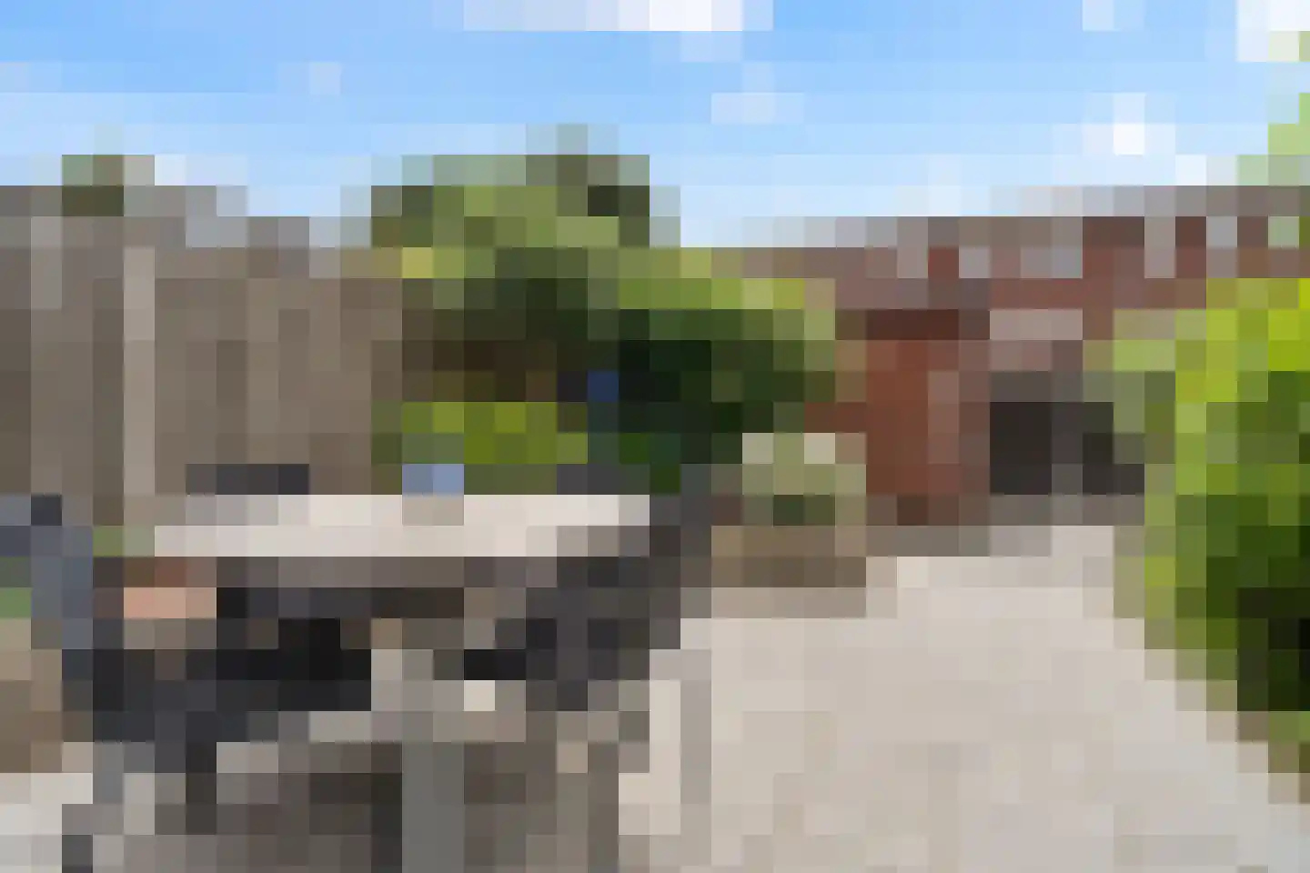 Fakkelgras 9 Houten thumbnail 18