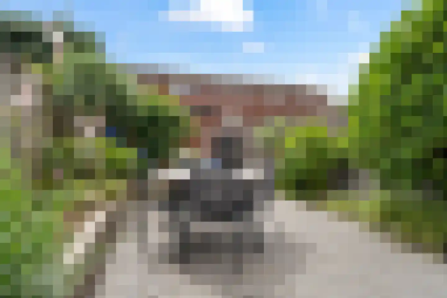 Fakkelgras 9 Houten thumbnail 19