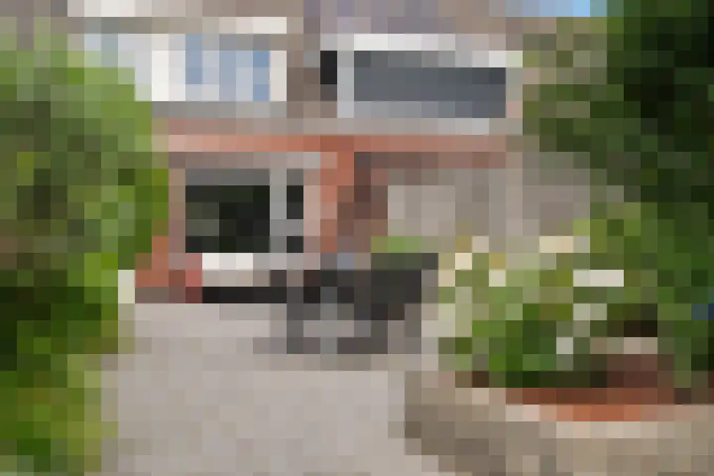 Fakkelgras 9 Houten thumbnail 21