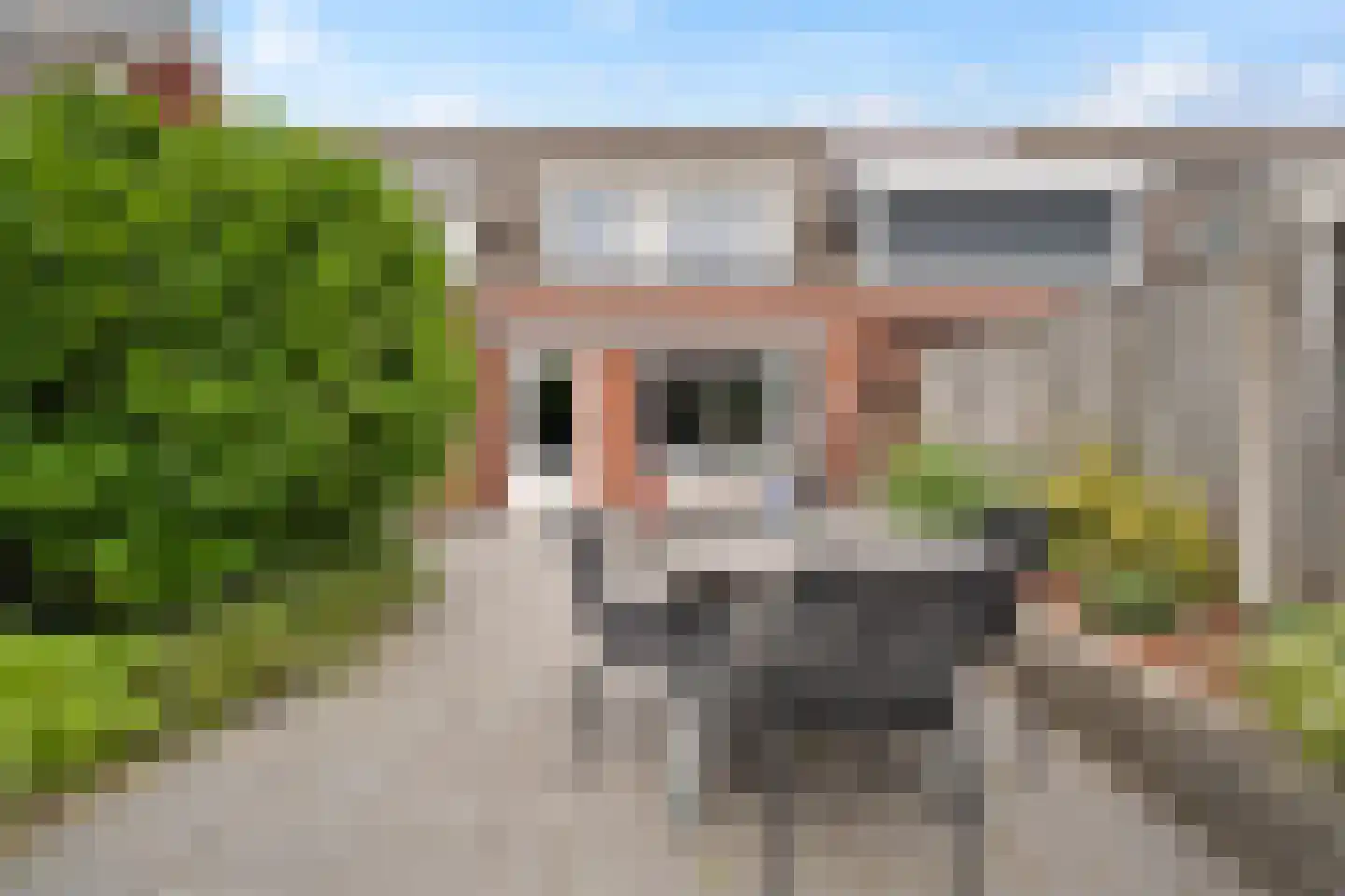 Fakkelgras 9 Houten thumbnail 22