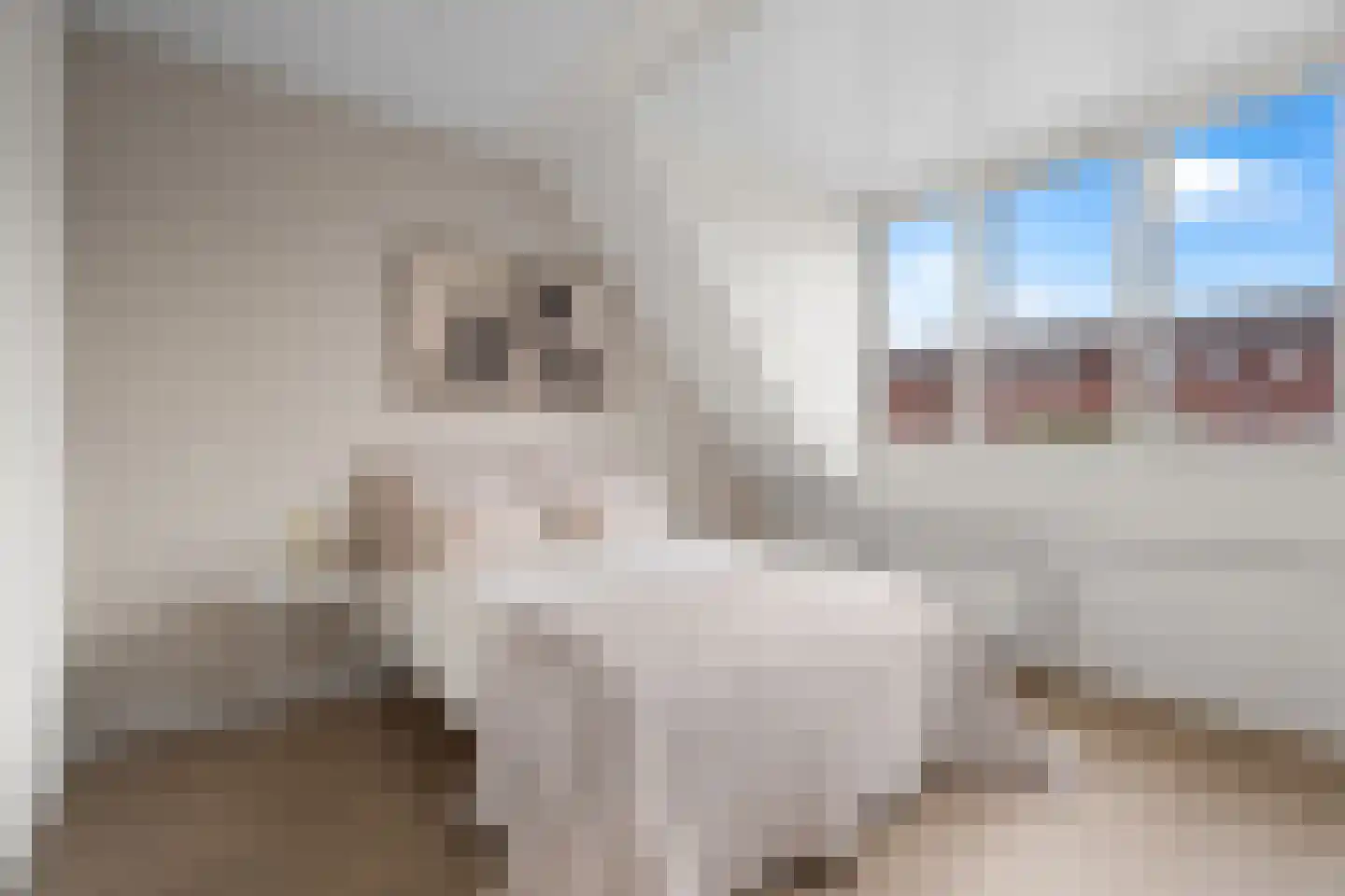 Fakkelgras 9 Houten thumbnail 28