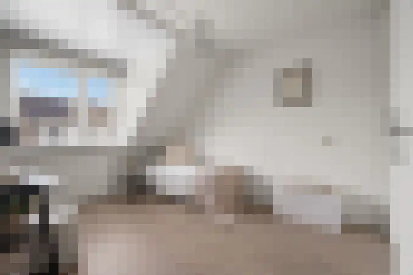 Fakkelgras 9 Houten thumbnail 31