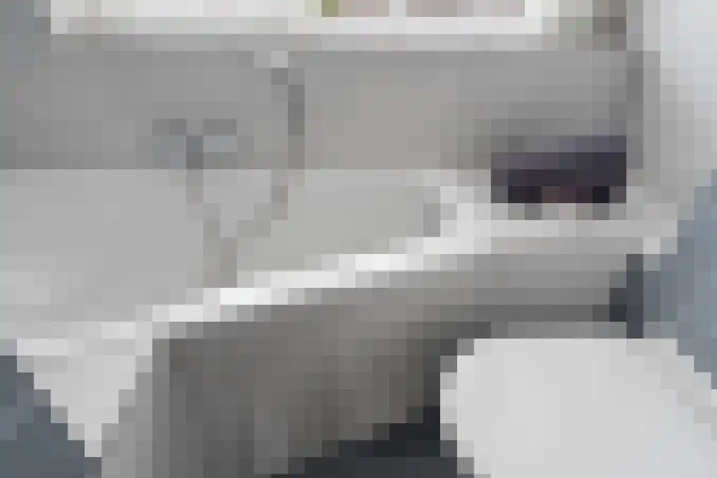 Fakkelgras 9 Houten thumbnail 36