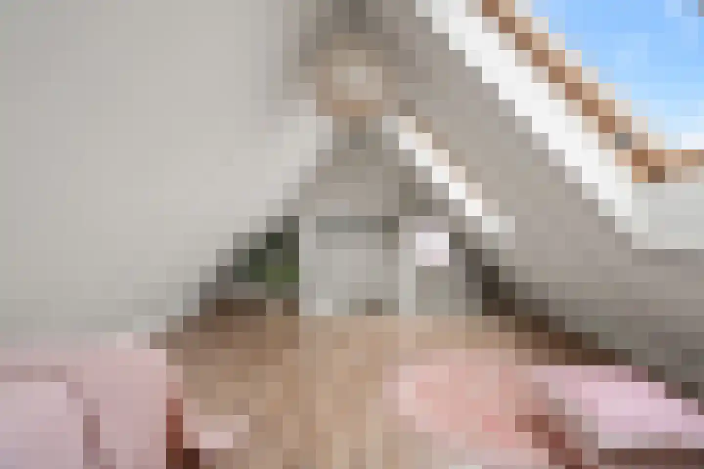 Fakkelgras 9 Houten thumbnail 37