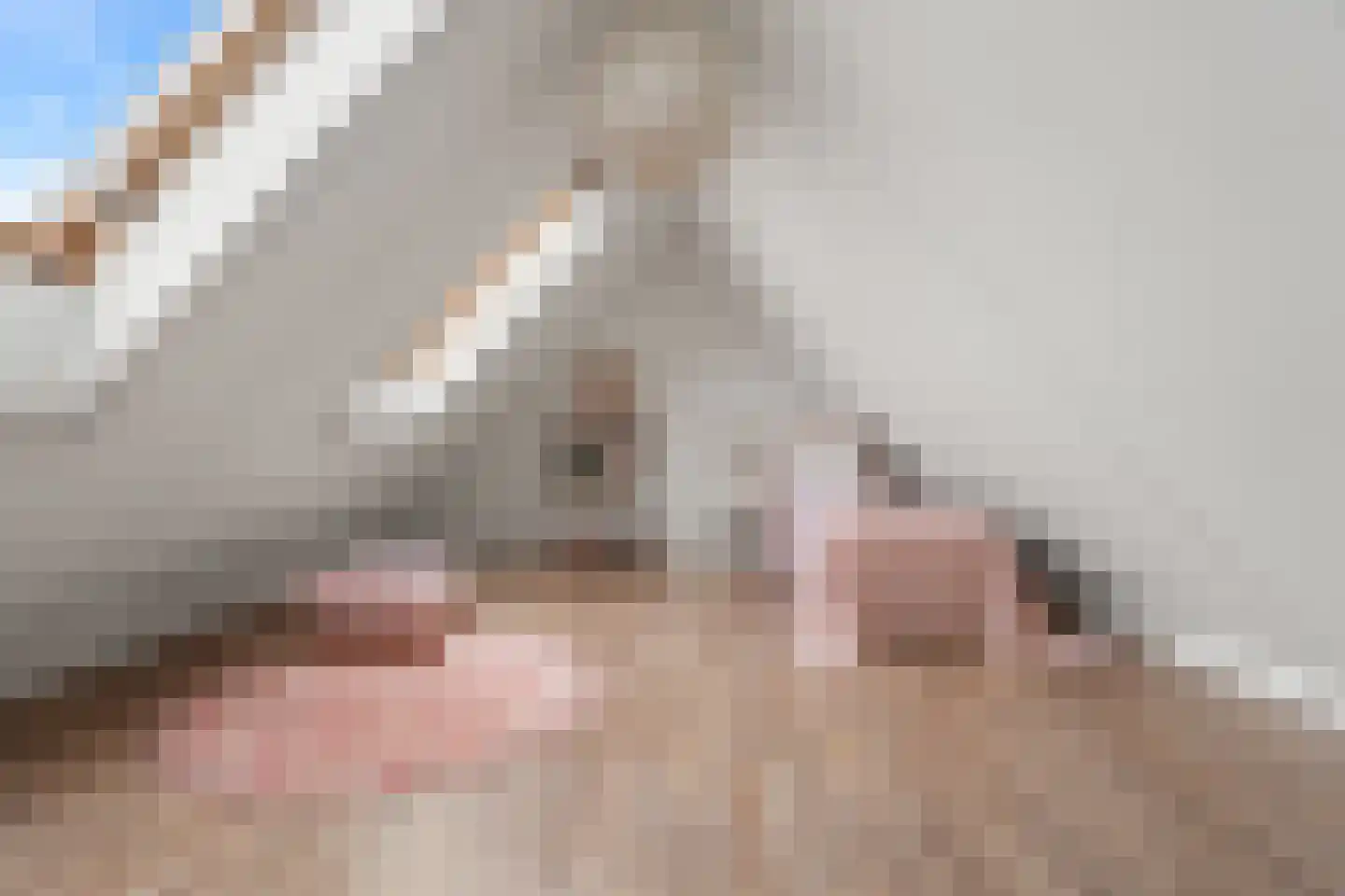 Fakkelgras 9 Houten thumbnail 38