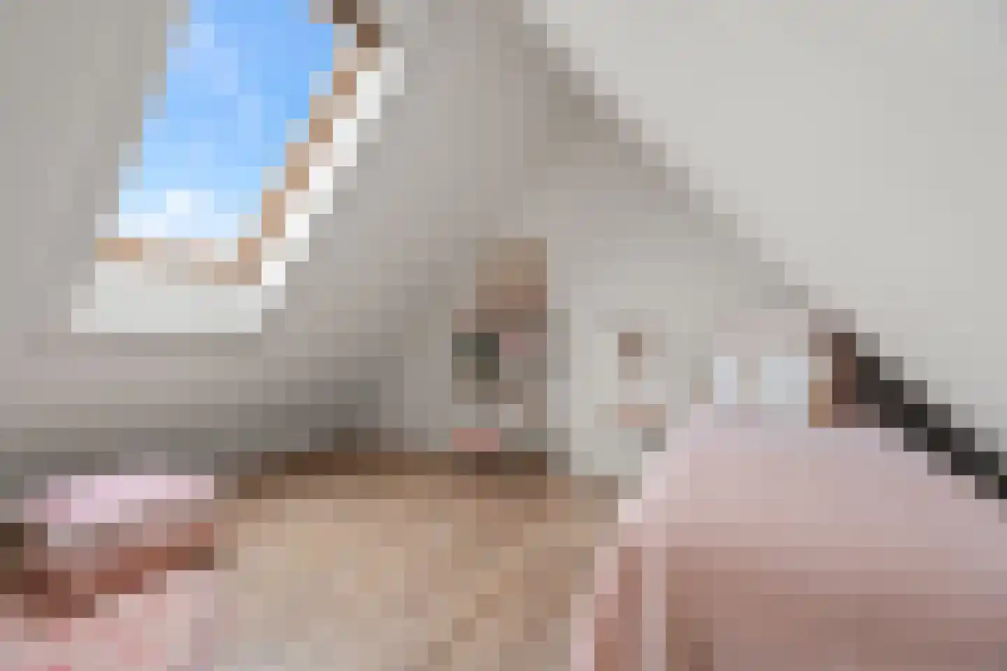 Fakkelgras 9 Houten thumbnail 39