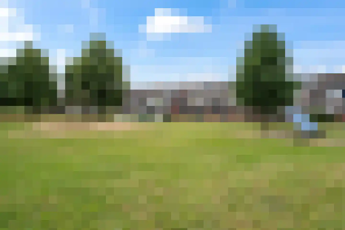Fakkelgras 9 Houten thumbnail 46