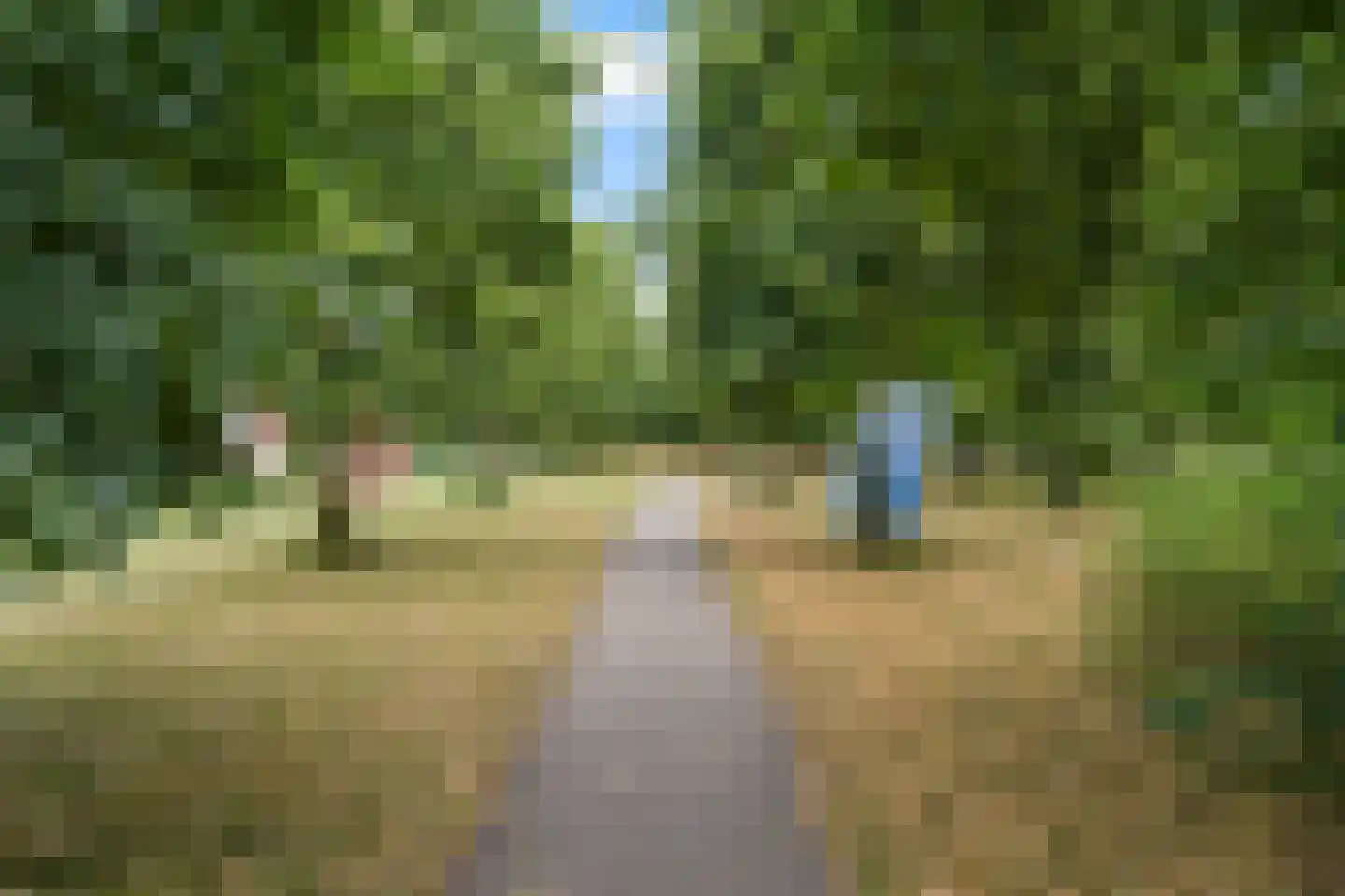 Fakkelgras 9 Houten thumbnail 47