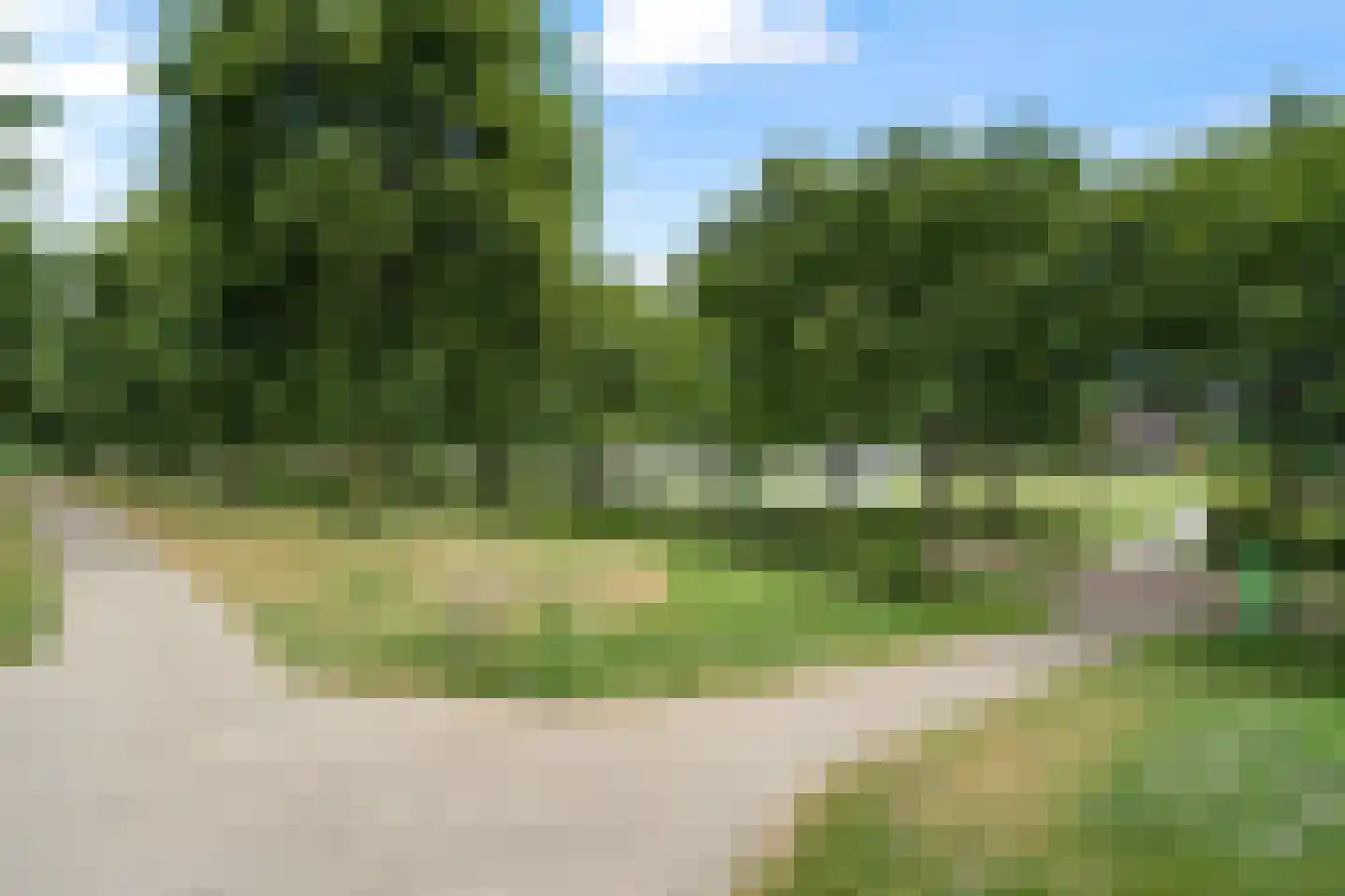 Fakkelgras 9 Houten thumbnail 48