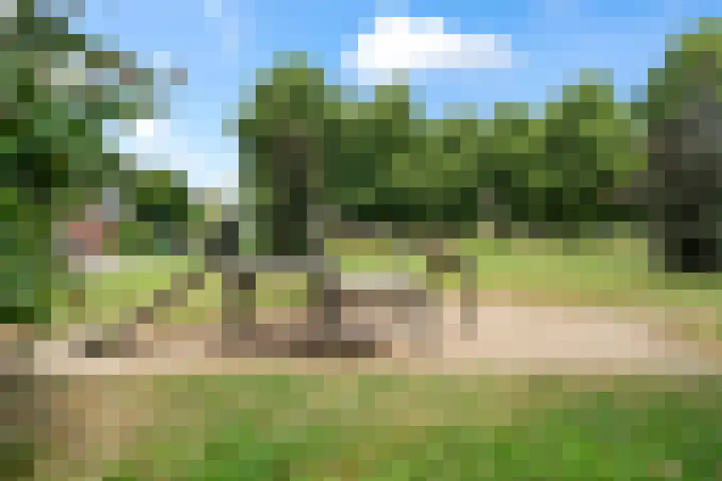 Fakkelgras 9 Houten thumbnail 49