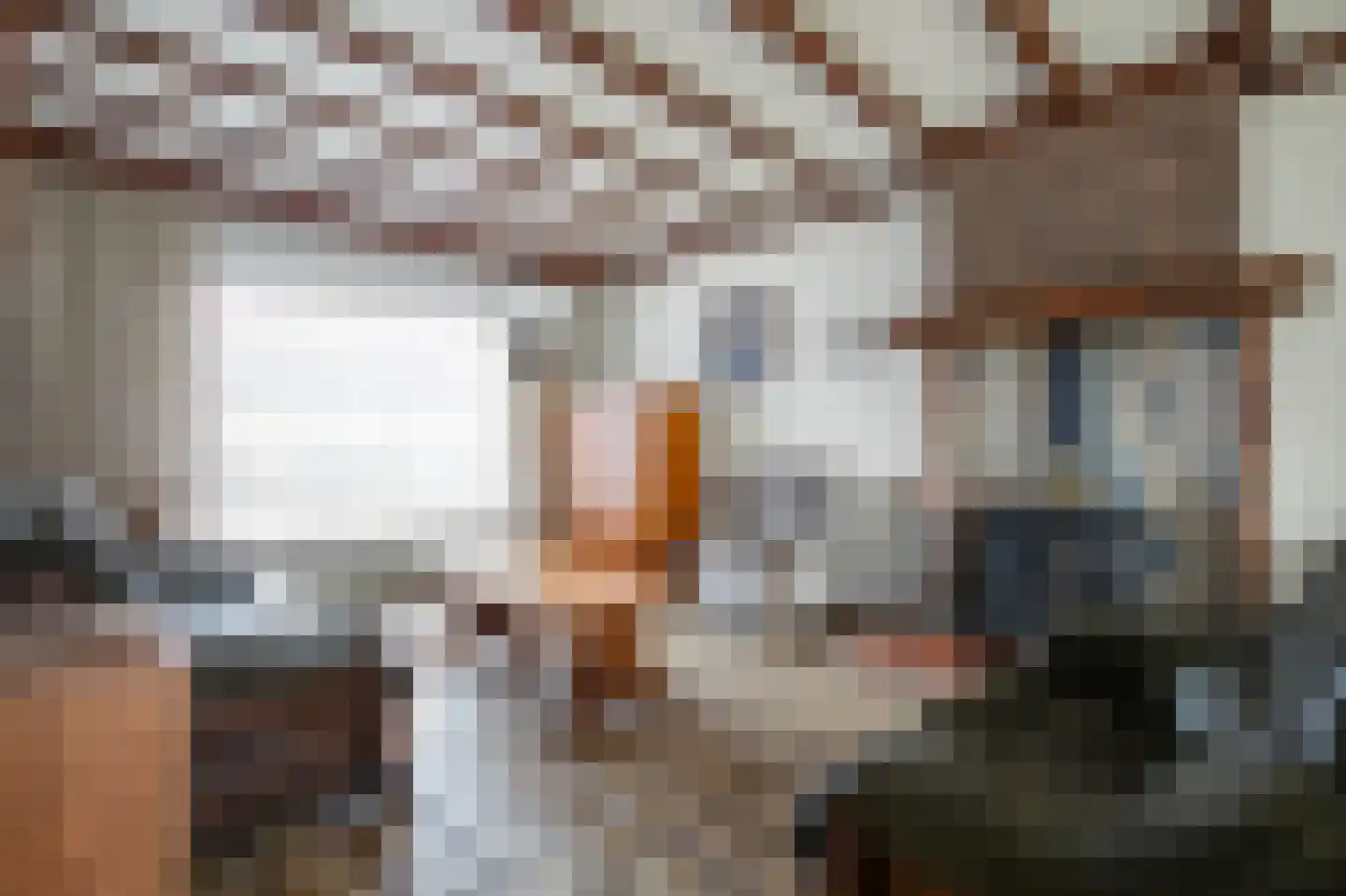 Fakkelweg 33 Sint Odiliënberg thumbnail 4