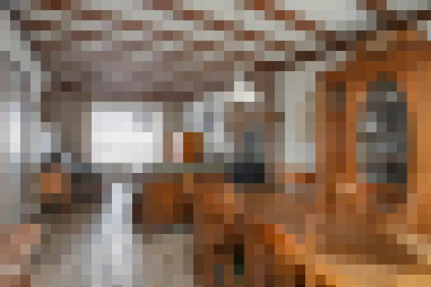 Fakkelweg 33 Sint Odiliënberg thumbnail 5