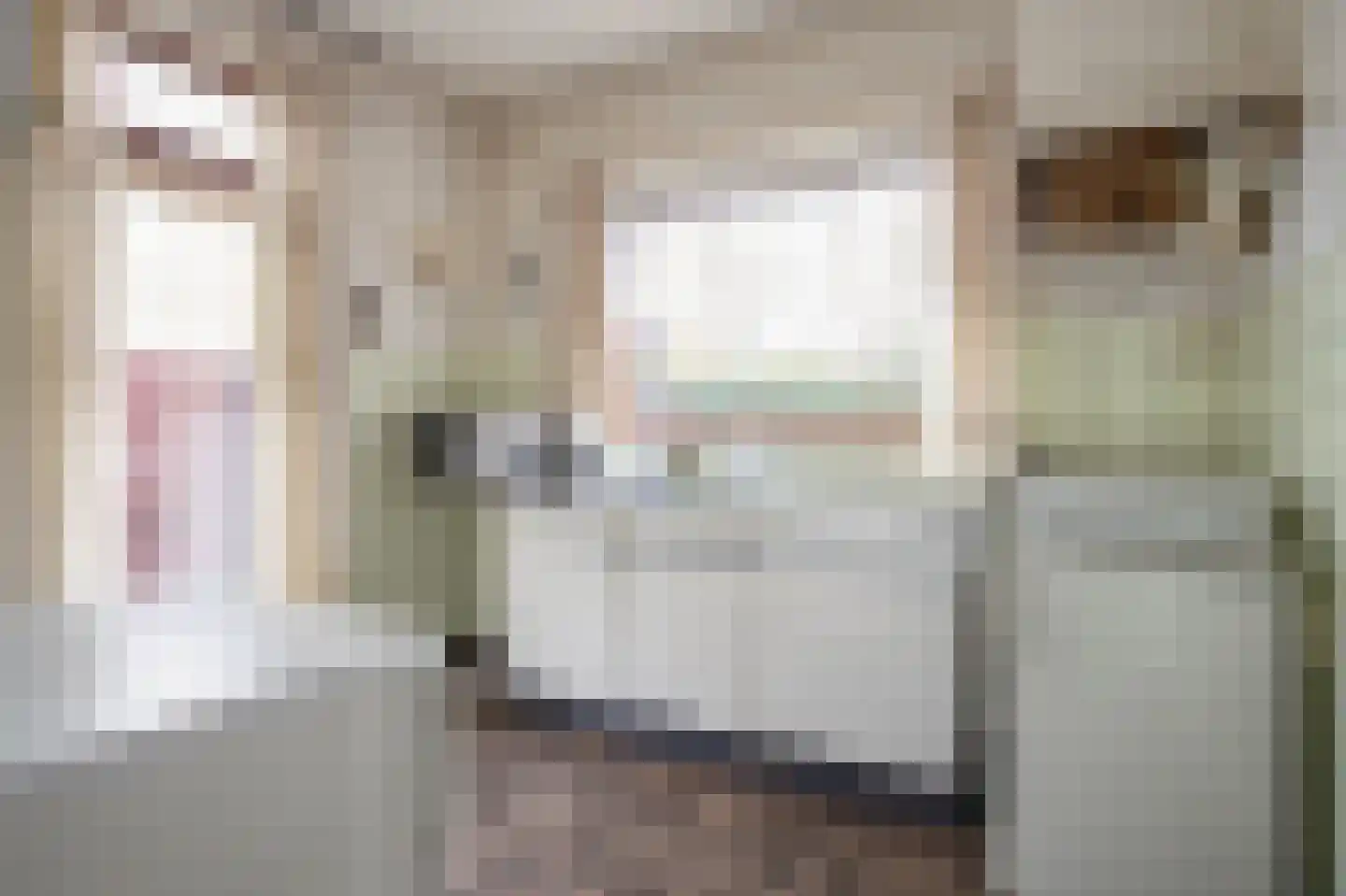 Fakkelweg 33 Sint Odiliënberg thumbnail 7