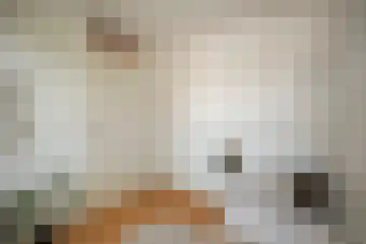 Faktorij 110 Alkmaar thumbnail 11