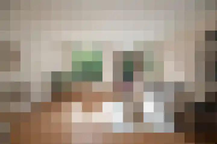 Faktorij 110 Alkmaar thumbnail 13