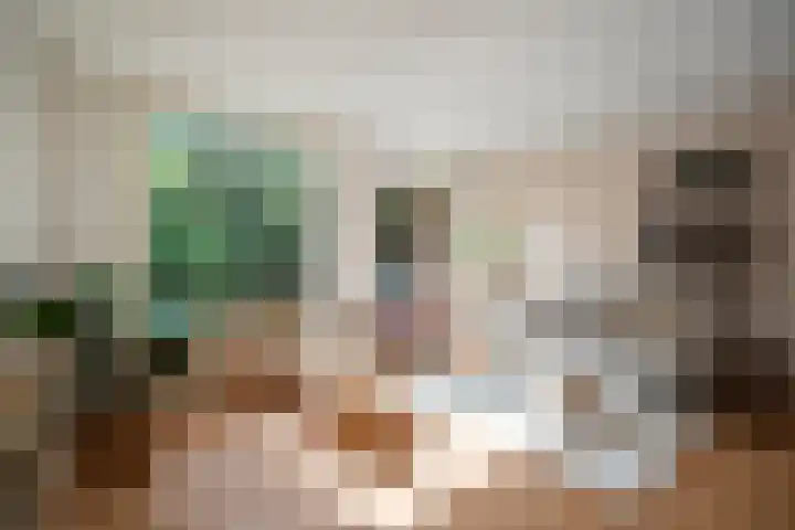 Faktorij 110 Alkmaar thumbnail 14