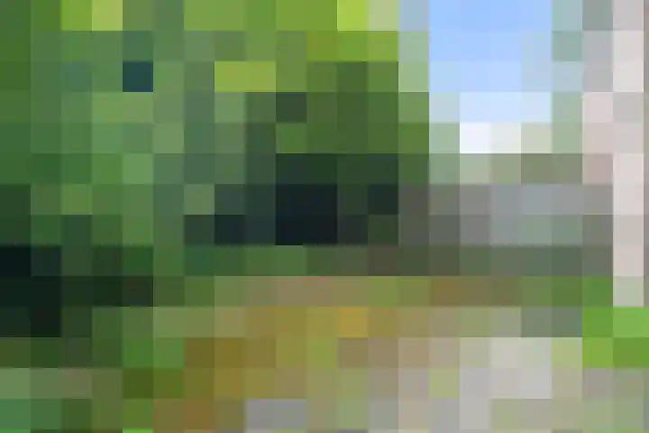 Faktorij 110 Alkmaar thumbnail 24