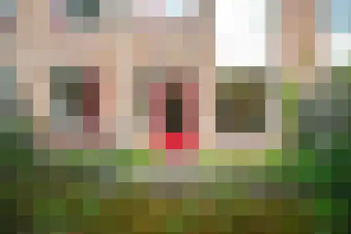 Faktorij 110 Alkmaar thumbnail 25