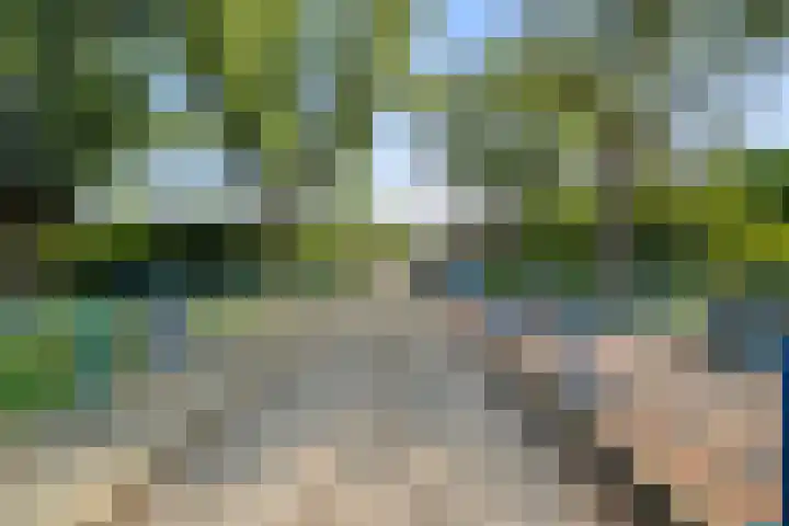 Faktorij 110 Alkmaar thumbnail 26